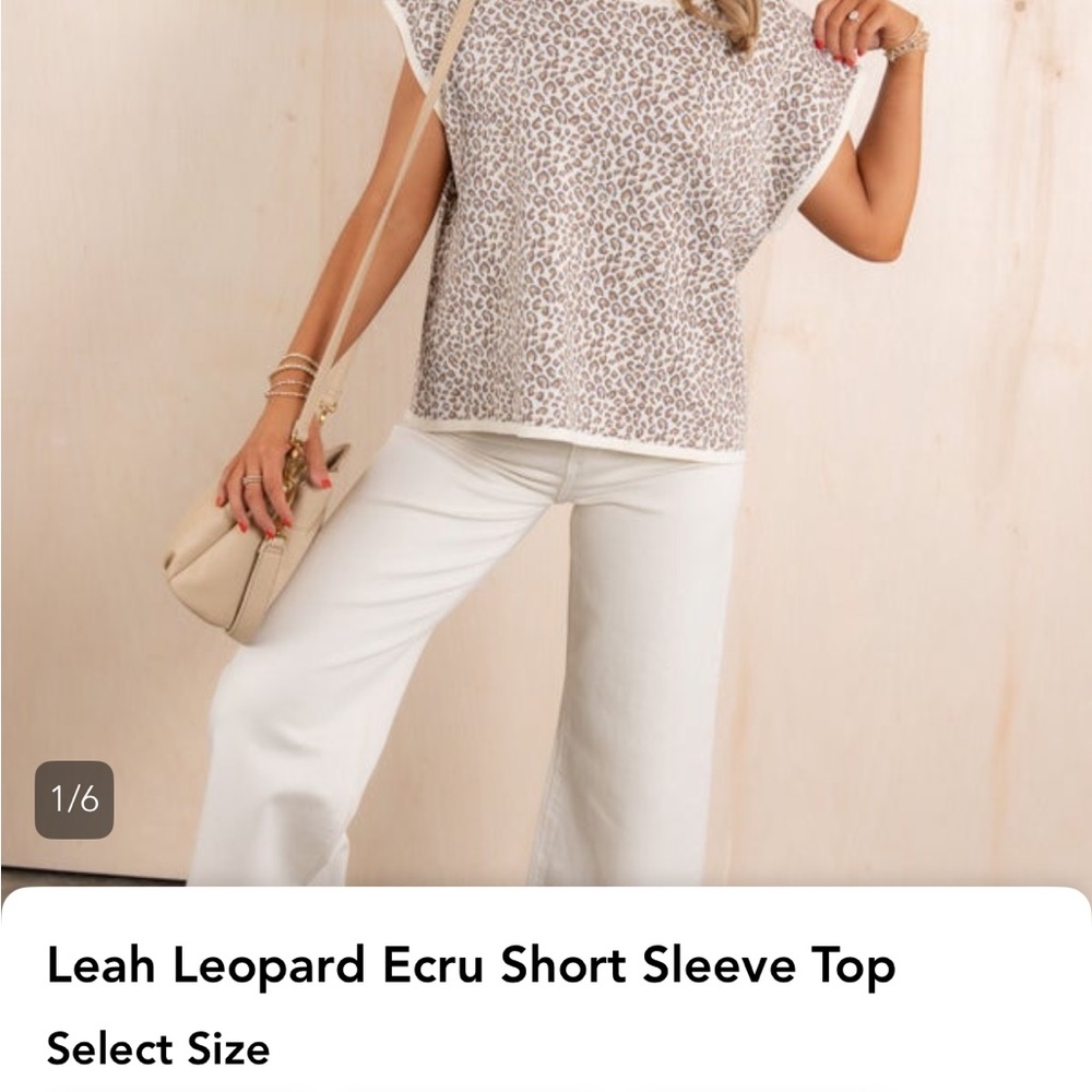 Easel Leopard Print Short Sleeve Top - Cream